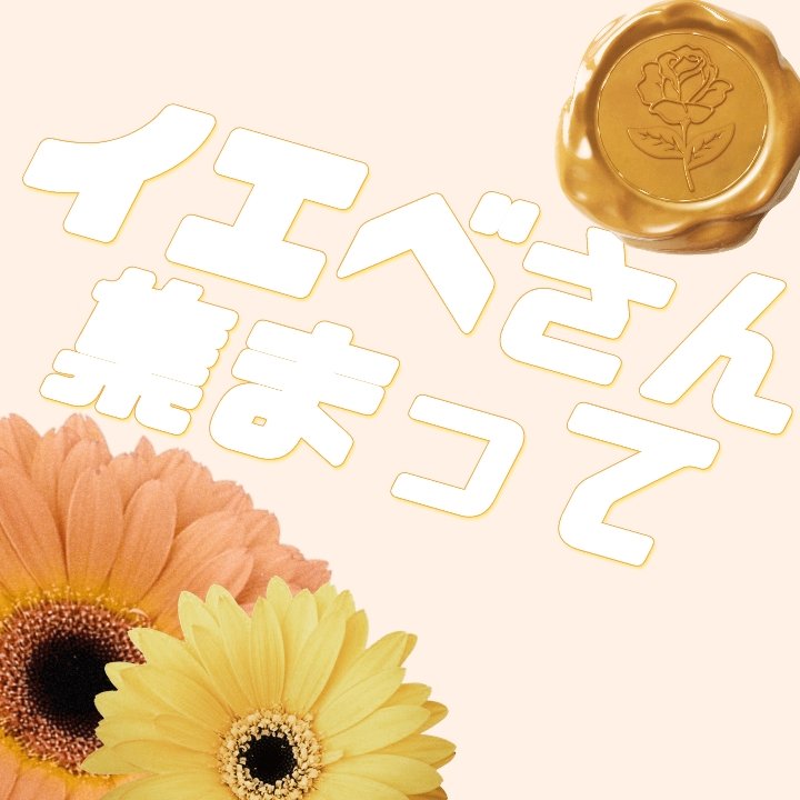 カラーパターンパレット/i’m meme/マルチパレットを使ったクチコミ（1枚目）