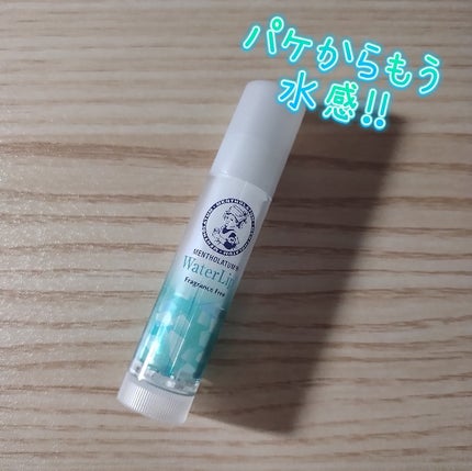 ウォーターリップ 無香料/メンソレータム/リップクリームを使ったクチコミ(3枚目)