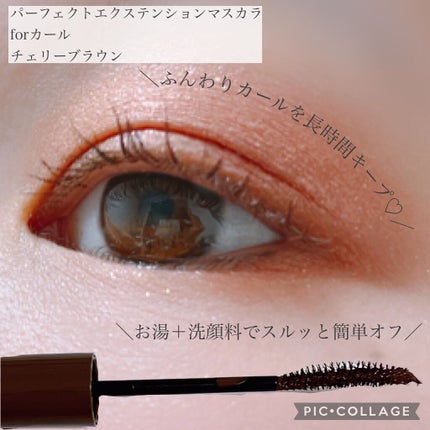パーフェクトエクステンション マスカラ for カール/D-UP/マスカラを使ったクチコミ(1枚目)