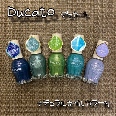 デュカート ナチュラルネイルカラーNのクチコミ「Ducato デュカート
ナチュラルネイルカラーN / 税込660円
155 ギャラクシーブル.....」（1枚目）