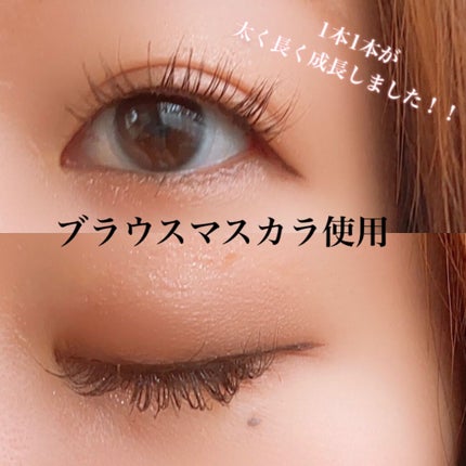 エグータム/アルマダスタイル/まつげ美容液を使ったクチコミ(2枚目)