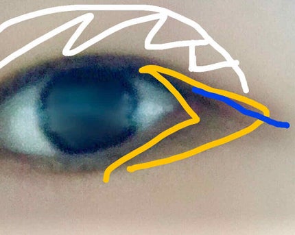 【旧品】パーフェクトスタイリストアイズ/キャンメイク/アイシャドウパレットを使ったクチコミ(4枚目)