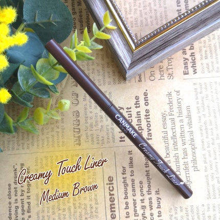 クリーミータッチライナー/キャンメイク/ジェルアイライナーを使ったクチコミ(1枚目)