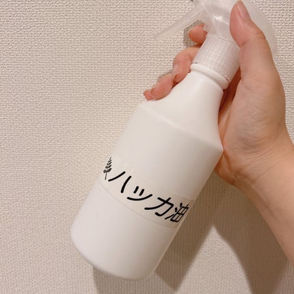 天然ハッカ油/健栄製薬/その他を使ったクチコミ(2枚目)