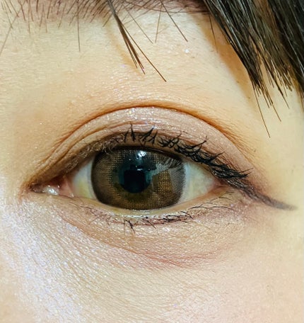 エレガンス ヌーヴェル アイズ/Elégance/アイシャドウパレットを使ったクチコミ(4枚目)