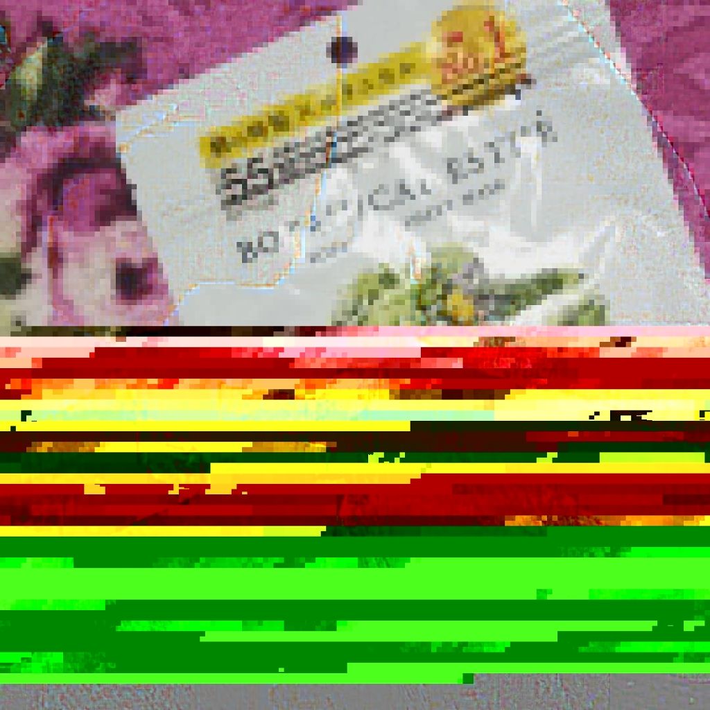 シートマスク モイスト/BOTANICAL ESTHE/シートマスク・パックを使ったクチコミ(1枚目)