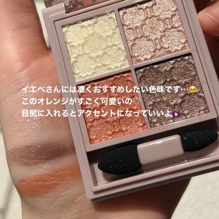 グロッシーリッチ アイズ N/Visée/アイシャドウパレットを使ったクチコミ(3枚目)