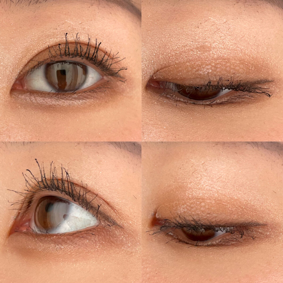 トーンアップアイシャドウ/CEZANNE/アイシャドウパレットを使ったクチコミ（1枚目）