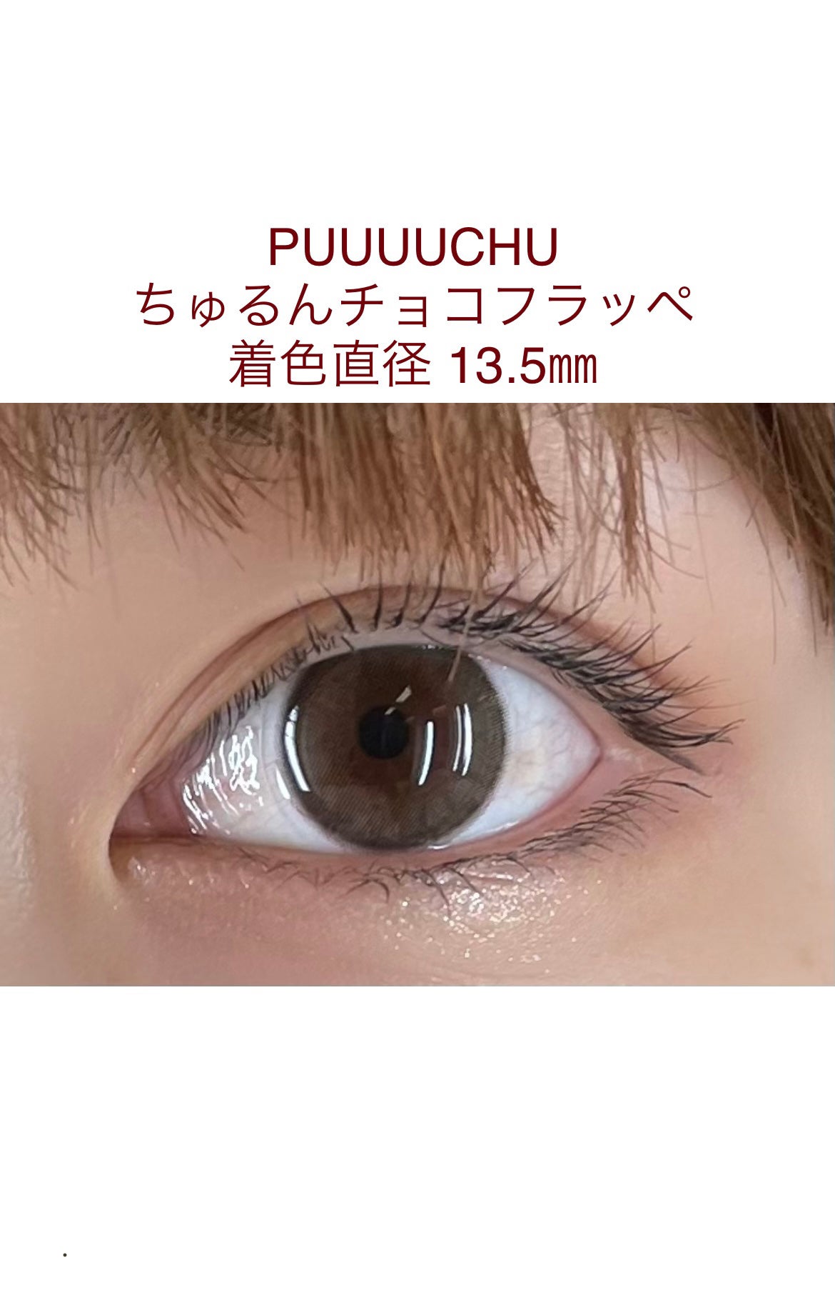PUUUUCHU 1day /PUUUUCHU/ワンデー(1DAY)カラコンを使ったクチコミ(1枚目)