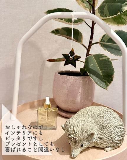 オーガニックヘアシロップ/PINKGHOST/ヘアオイルを使ったクチコミ(3枚目)