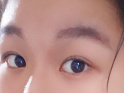 スティロスルシル/クレ・ド・ポー ボーテ/アイブロウペンシルを使ったクチコミ(1枚目)