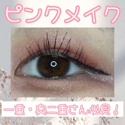 アイプランナー/excel/単色アイシャドウを使ったクチコミ(1枚目)