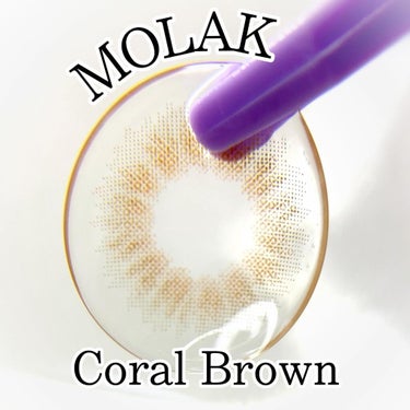 MOLAK 1day コーラルブラウン/MOLAK/ワンデー（１DAY）カラコンを使ったクチコミ（2枚目）