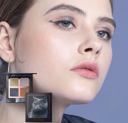 Venus Marble アイシャドウキャットシリーズ/Venus Marble/アイシャドウパレットを使ったクチコミ(4枚目)