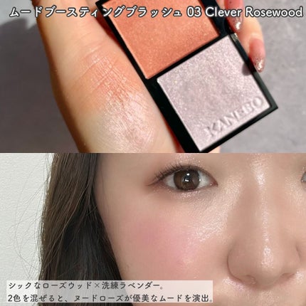 カネボウ アイカラーデュオ/KANEBO/アイシャドウパレットを使ったクチコミ(3枚目)