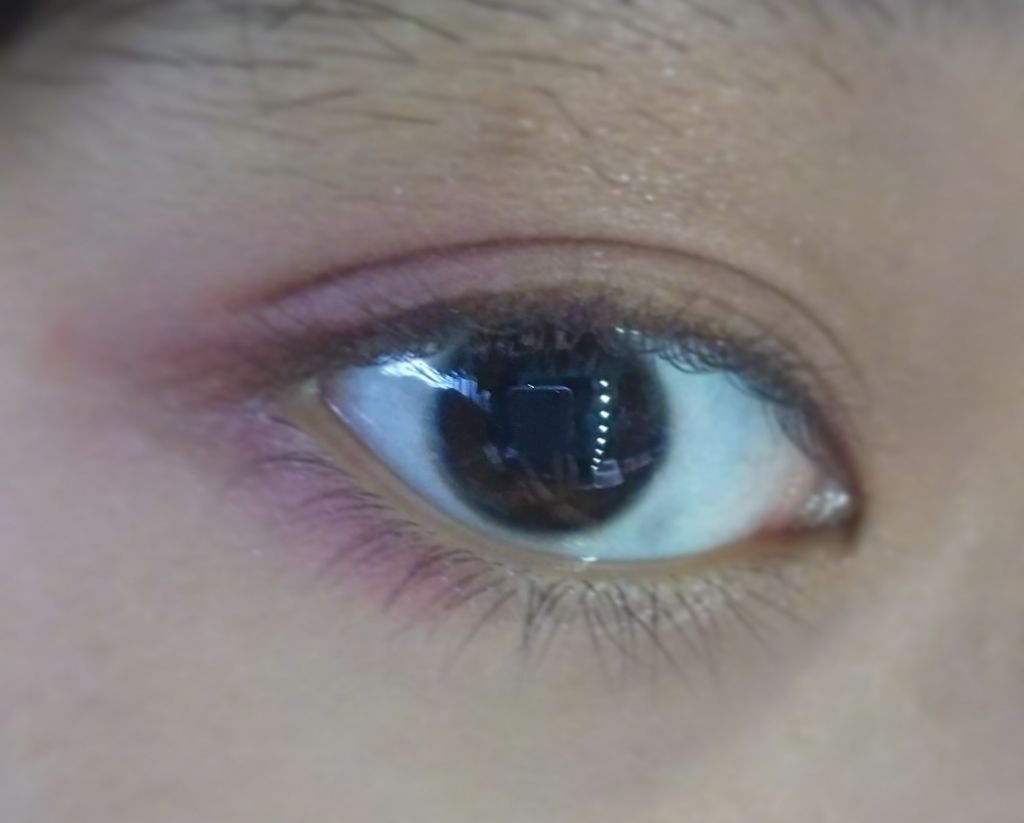 12色アイシャドウパレット/LOUJENE/アイシャドウパレットを使ったクチコミ(3枚目)