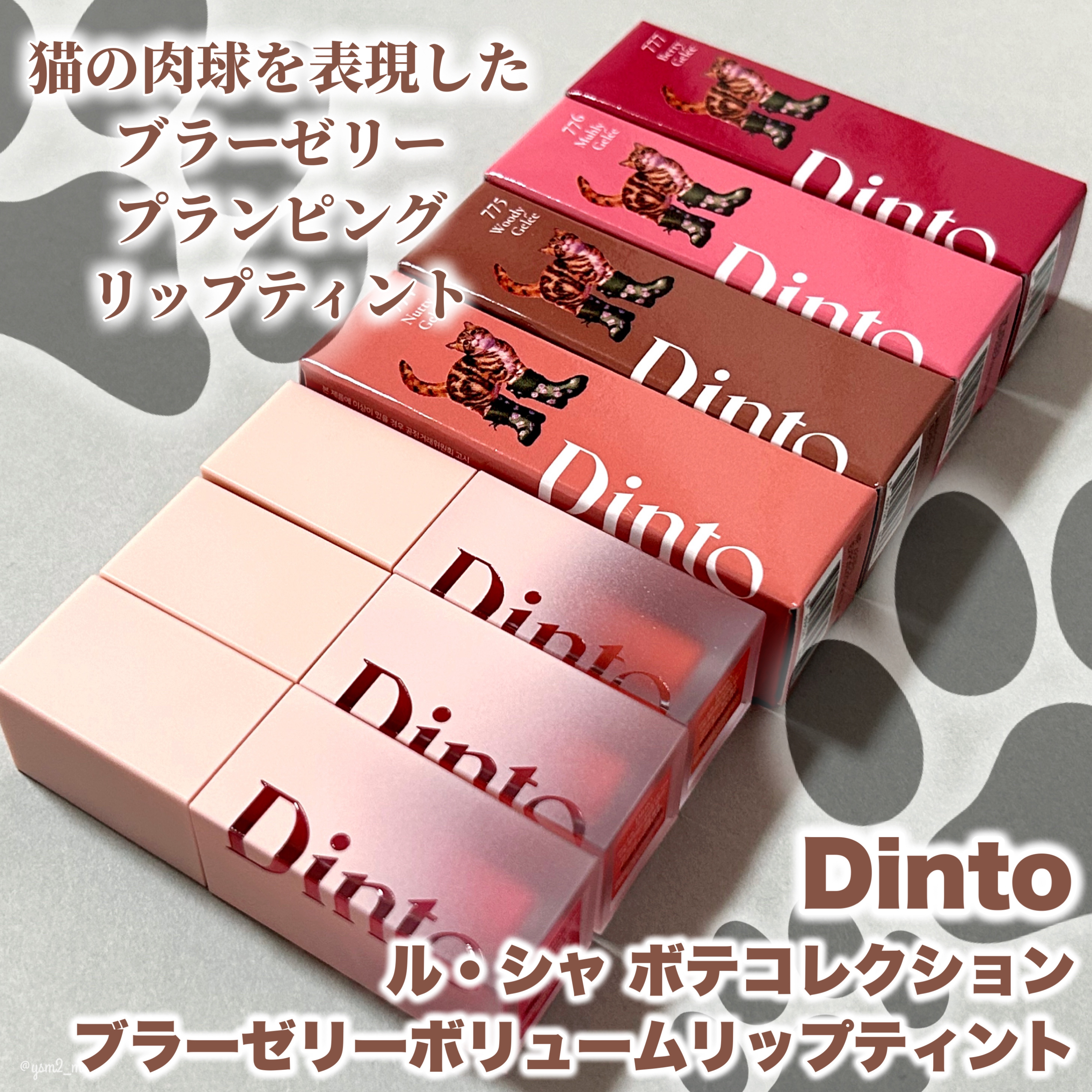 （ル・シャ ボテコレクション）ブラーゼリーボリュームリップティント/Dinto/リップティントを使ったクチコミ（2枚目）