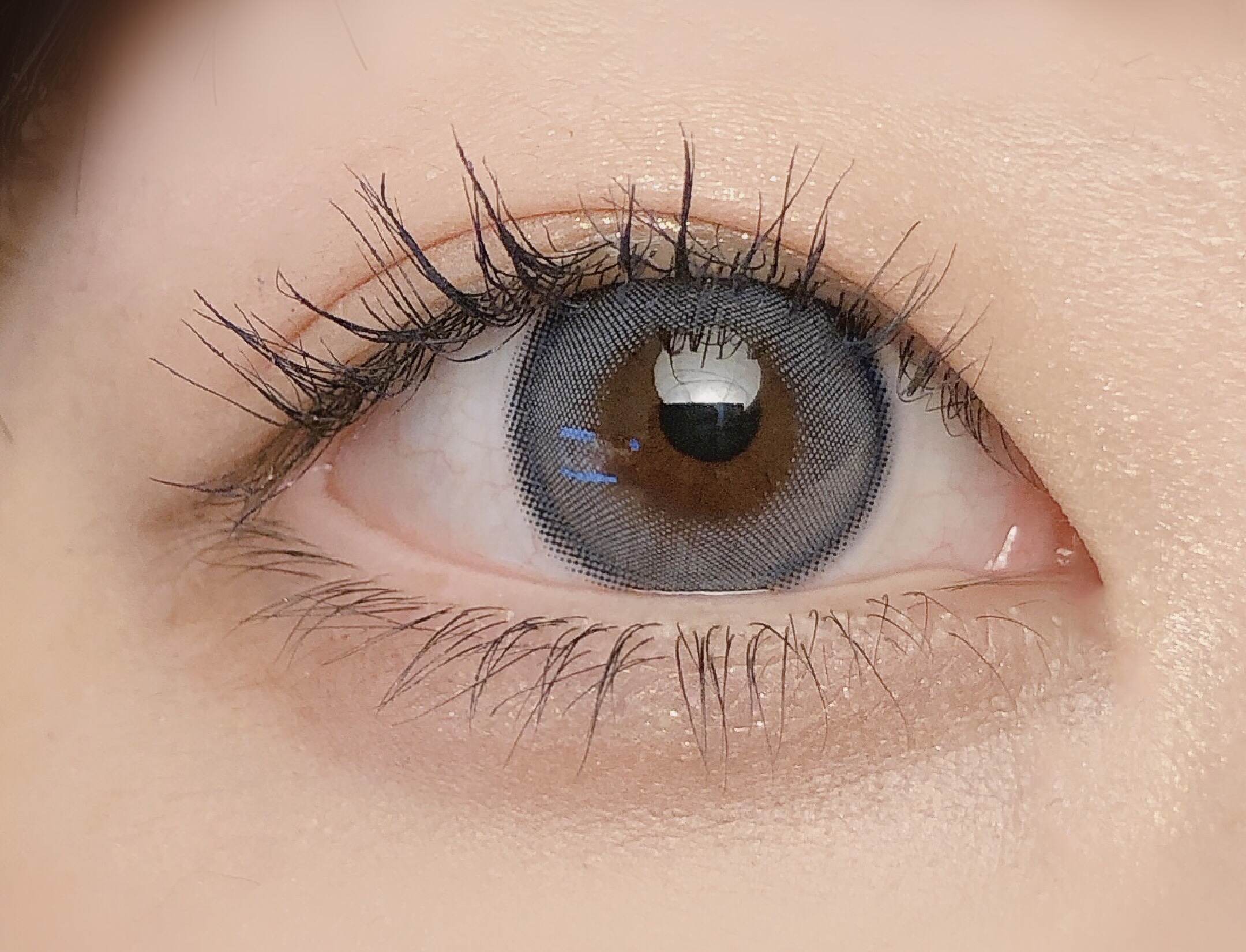 Angelcolor Bambi Series 1day /AngelColor/ワンデー（１DAY）カラコンを使ったクチコミ（3枚目）