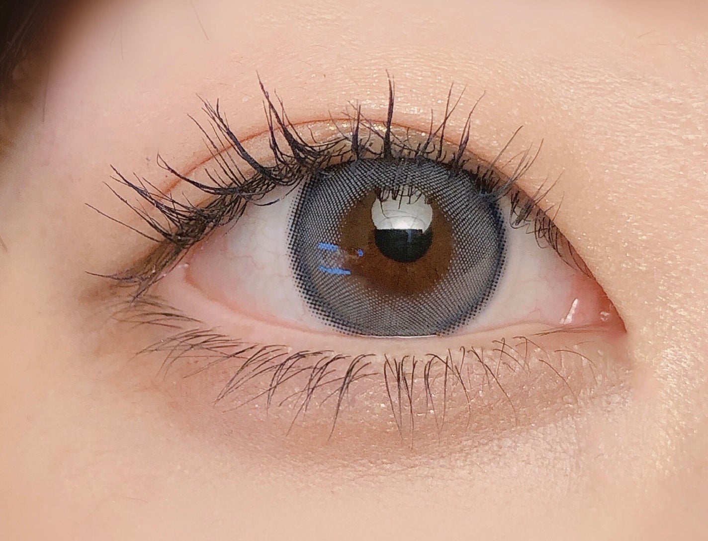 Angelcolor Bambi Series 1day /AngelColor/ワンデー(1DAY)カラコンを使ったクチコミ(3枚目)