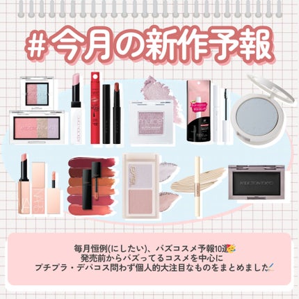 ネンマクフェイク リキッド/Visée/口紅を使ったクチコミ(2枚目)