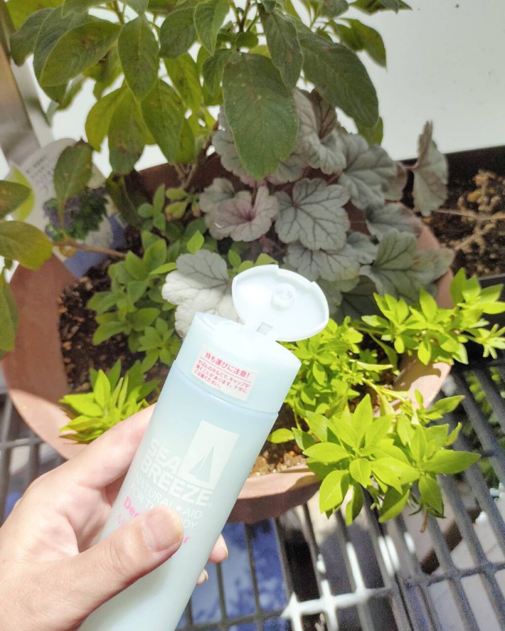 デオ＆ウォーター Ｂ (ミルキーヨーグルト)/シーブリーズ/デオドラント・制汗剤を使ったクチコミ（1枚目）