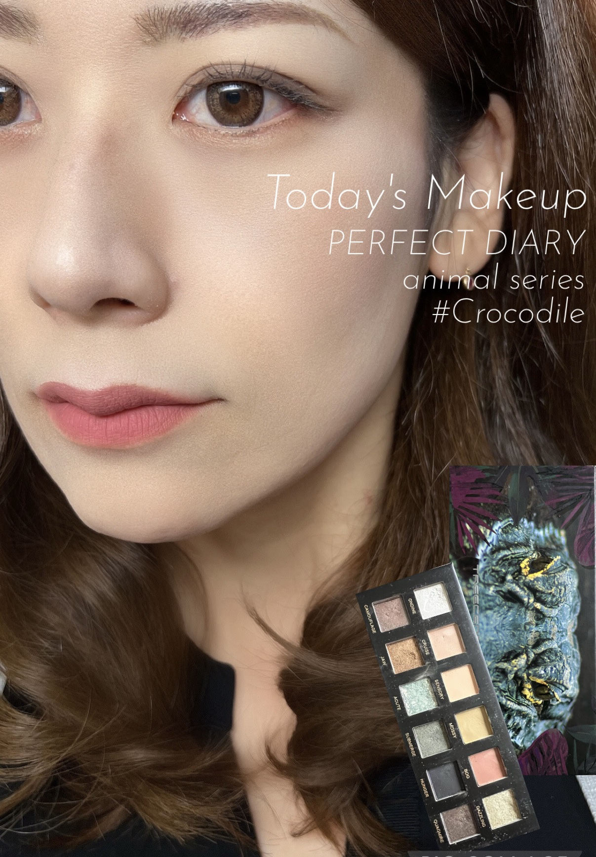エクスプローラ12色 動物アイシャドウパレット/PERFECT DIARY/アイシャドウパレットを使ったクチコミ（1枚目）