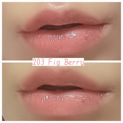 リッププランパーエクストラセラム/Borica/リッププランパーを使ったクチコミ(5枚目)