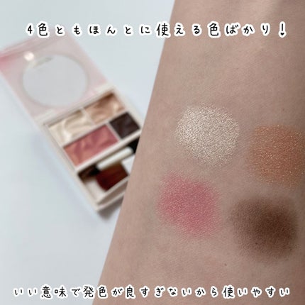 カラーパレット/パラドゥ/マルチパレットを使ったクチコミ(2枚目)