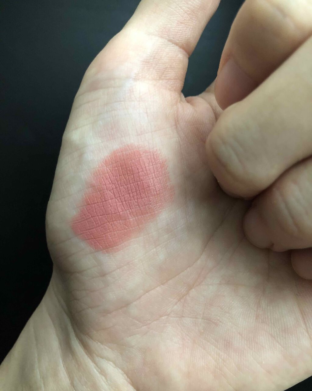 MATTETRANCE LIPSTICK/PAT McGRATH LABS/口紅を使ったクチコミ（2枚目）