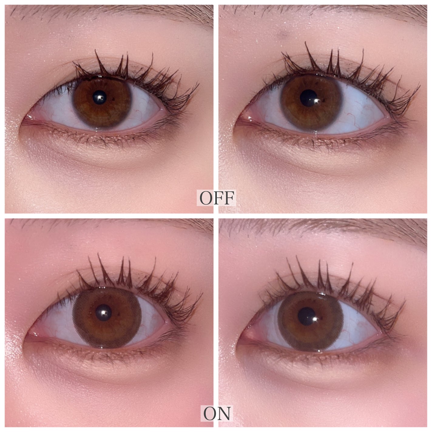 feliamo 1day/feliamo/ワンデー(1DAY)カラコンを使ったクチコミ(2枚目)