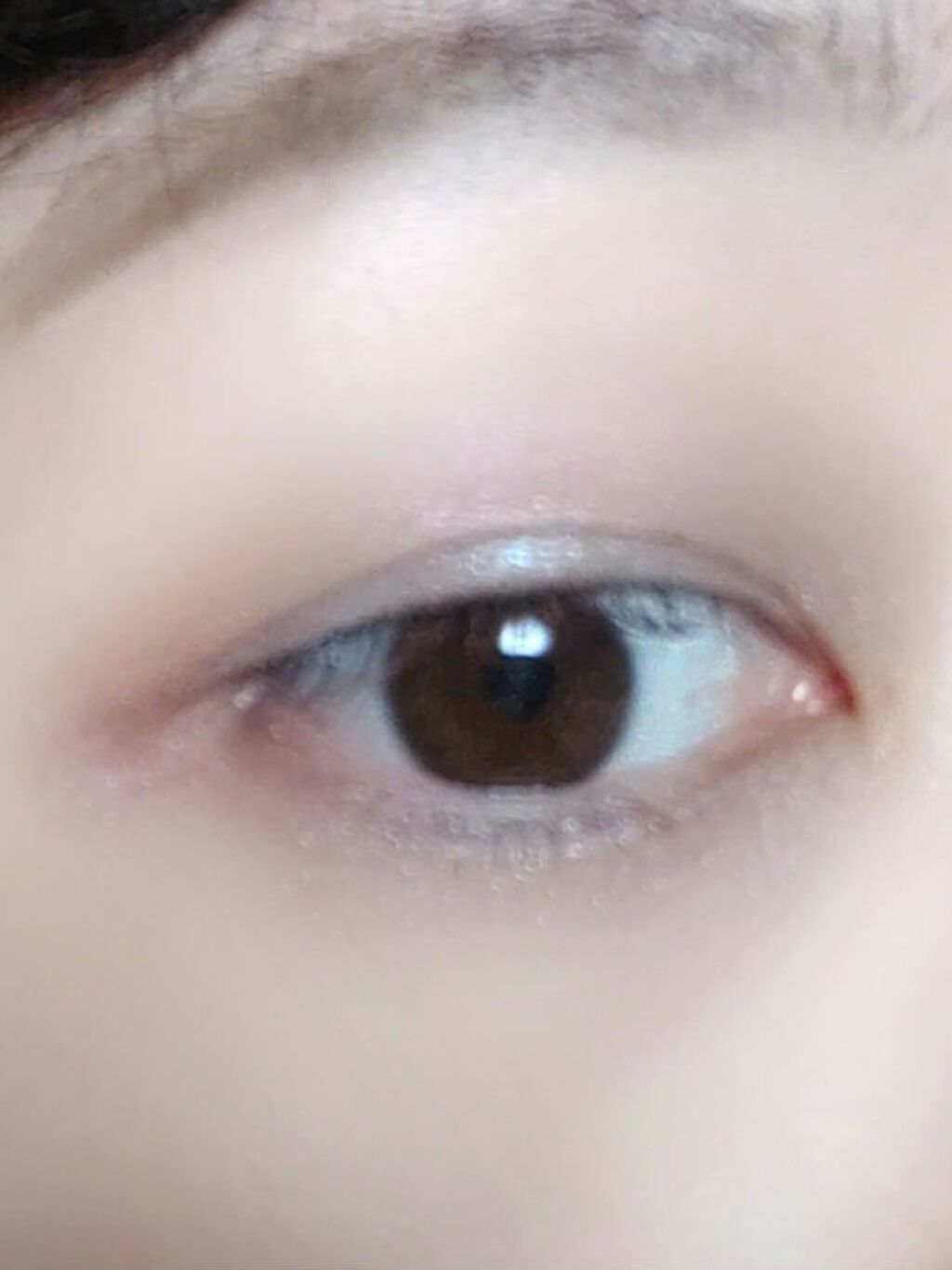 カネボウ アイカラーデュオ 20 Mint on the Rocks/KANEBO/アイシャドウパレットを使ったクチコミ（2枚目）