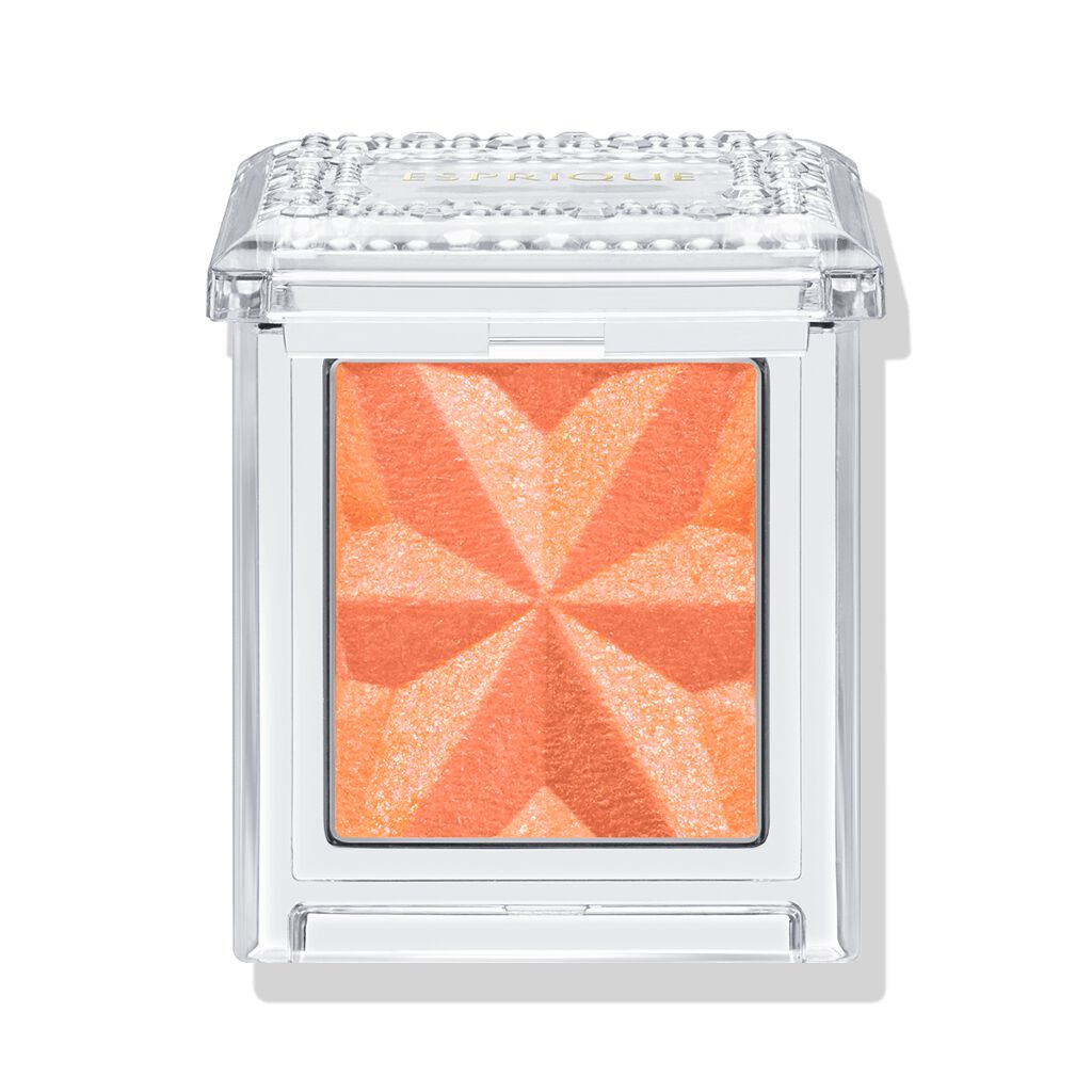 セレクト アイカラー Ｎ / ESPRIQUE