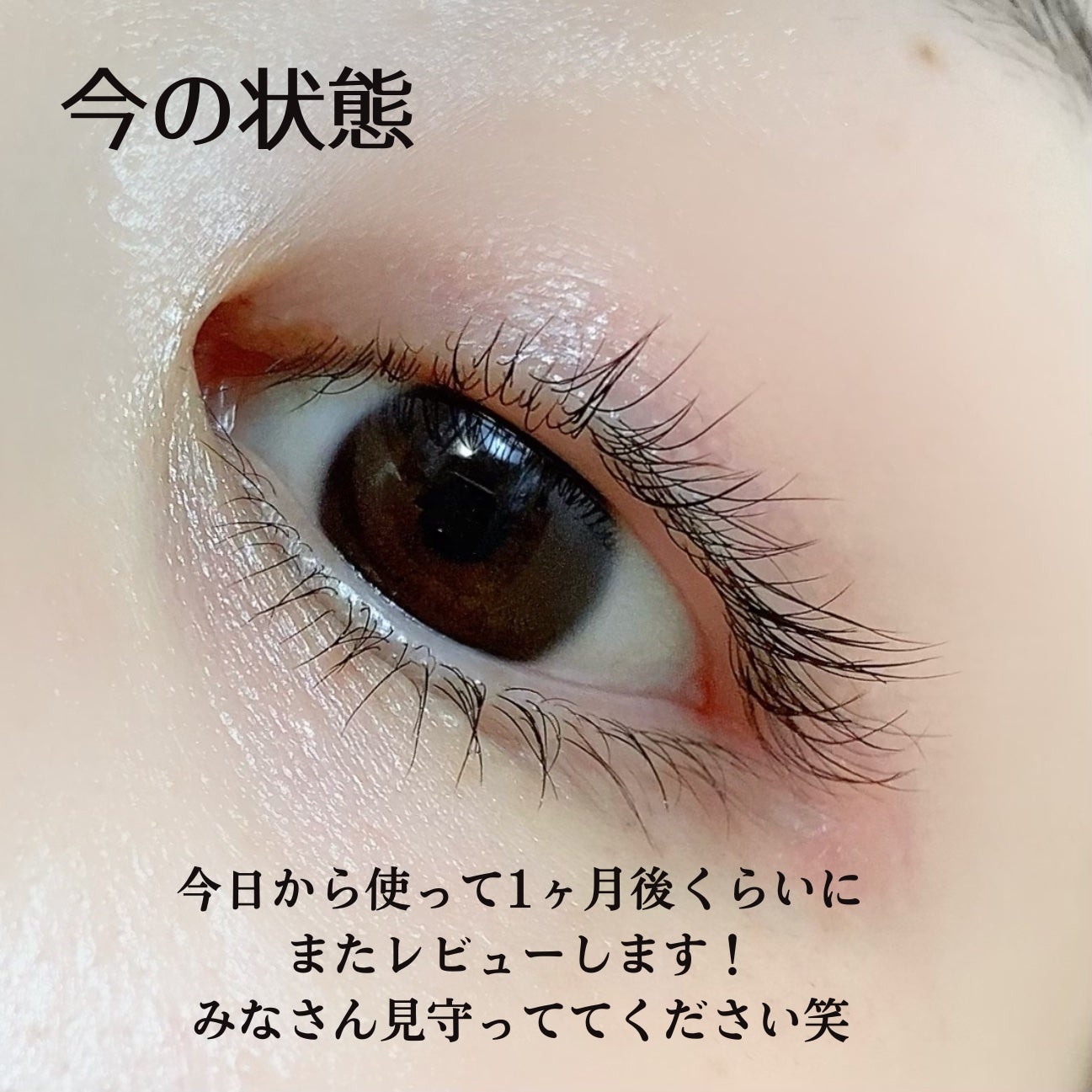 スカルプD アイラッシュセラム プレミアム/アンファー(スカルプD)/まつげ美容液を使ったクチコミ(7枚目)