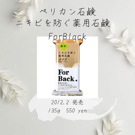 ニキビを防ぐ薬用石鹸 ForBack/ペリカン石鹸/ボディ石鹸を使ったクチコミ(1枚目)