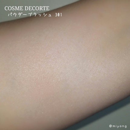 パウダー ブラッシュ/DECORTÉ/パウダーチークを使ったクチコミ(3枚目)