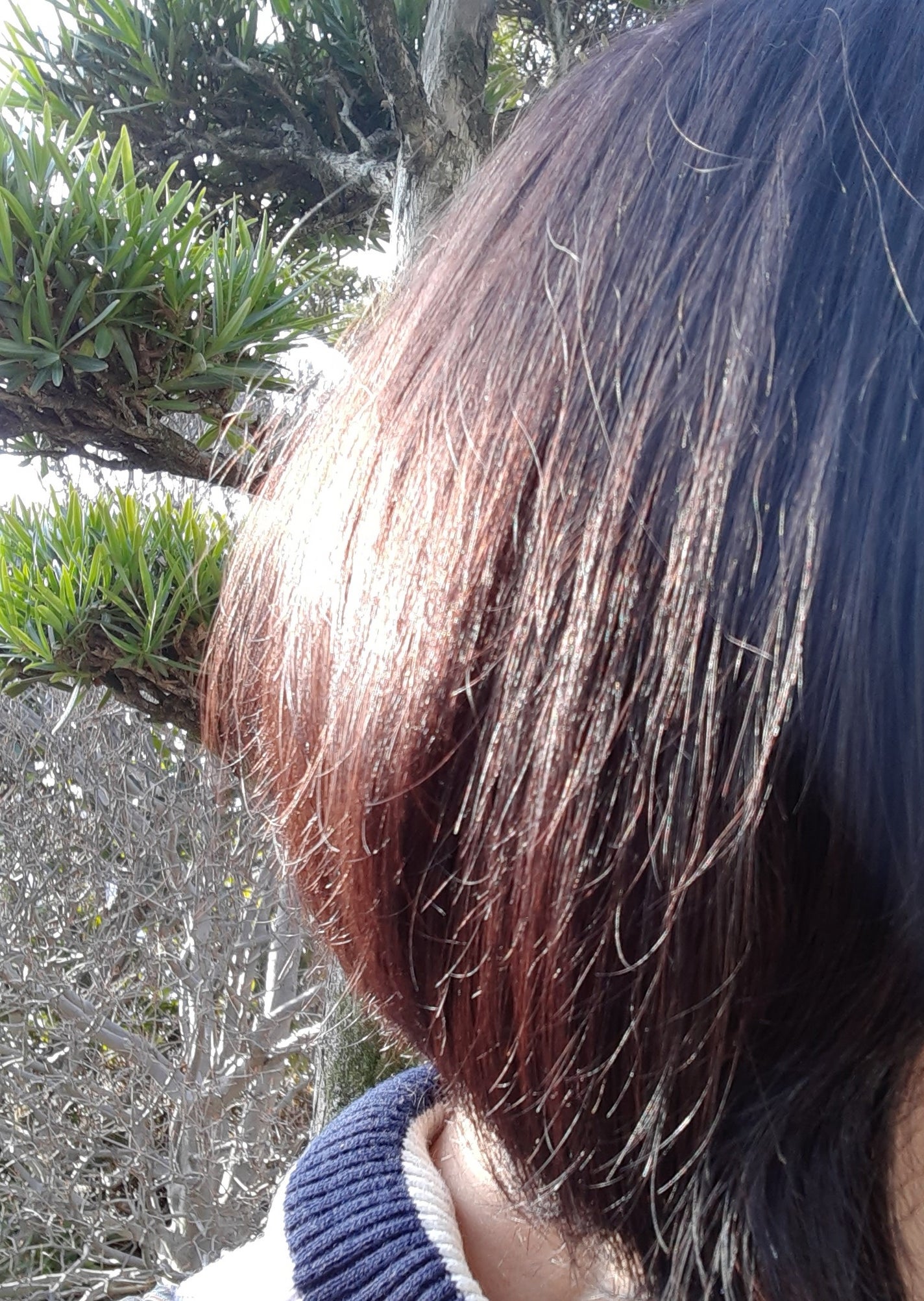 モイストミルク /SGNI/ヘアミルクを使ったクチコミ(9枚目)