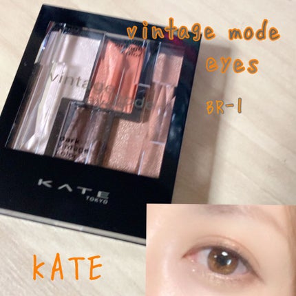 ヴィンテージモードアイズ/KATE/アイシャドウパレットを使ったクチコミ(1枚目)