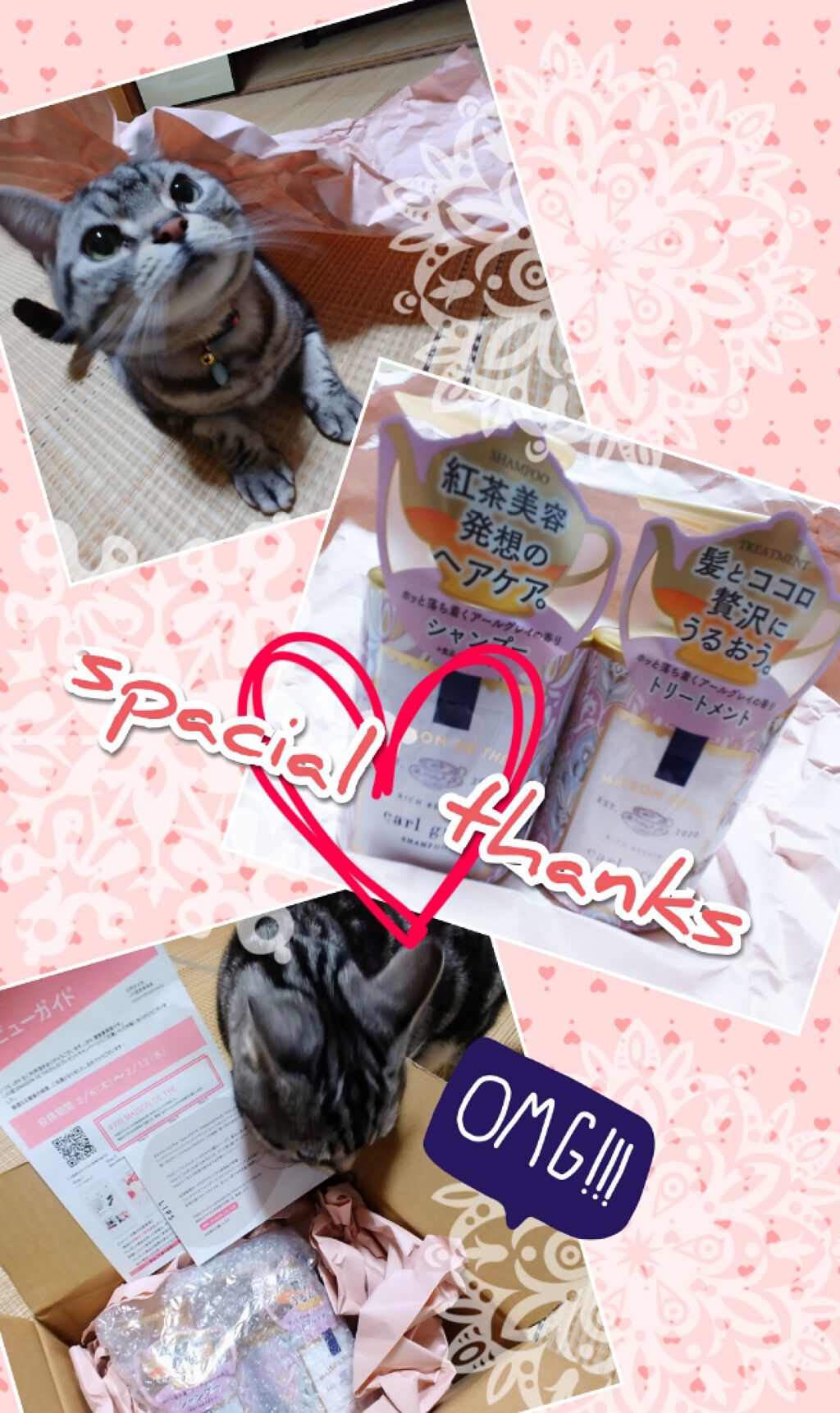 リッチリペア シャンプー／トリートメント/MAISON DE THÉ/市販シャンプーを使ったクチコミ（1枚目）