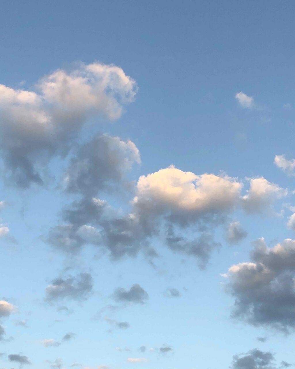 ボディミスト ピュアシャンプーの香り【パッケージリニューアル】/フィアンセ/香水(レディース)を使ったクチコミ(1枚目)