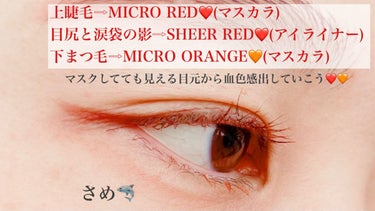 38℃ シェード ライナー SHEER RED/UZU BY FLOWFUSHI/リキッドアイライナーを使ったクチコミ（2枚目）
