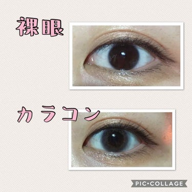 Angelcolor Bambi Series Vintage 1day/AngelColor/ワンデー（１DAY）カラコンを使ったクチコミ（2枚目）