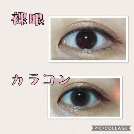 Angelcolor Bambi Series Vintage 1day/AngelColor/ワンデー(1DAY)カラコンを使ったクチコミ(2枚目)