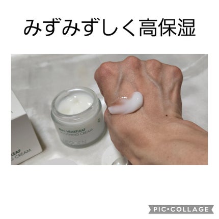 リアルドクダミスージングデイリーマスク/NEOGEN/シートマスク・パックを使ったクチコミ(2枚目)