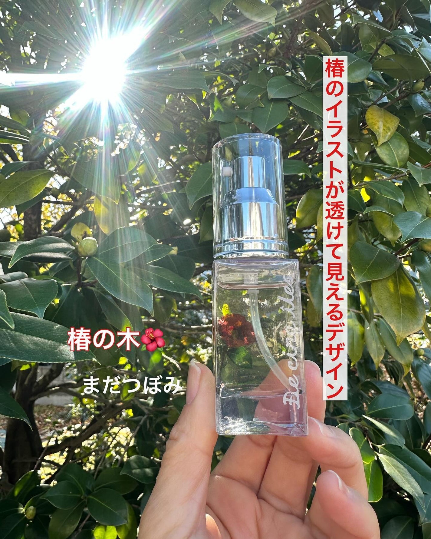 ピュア椿/De cinq iles/フェイスオイルを使ったクチコミ(6枚目)