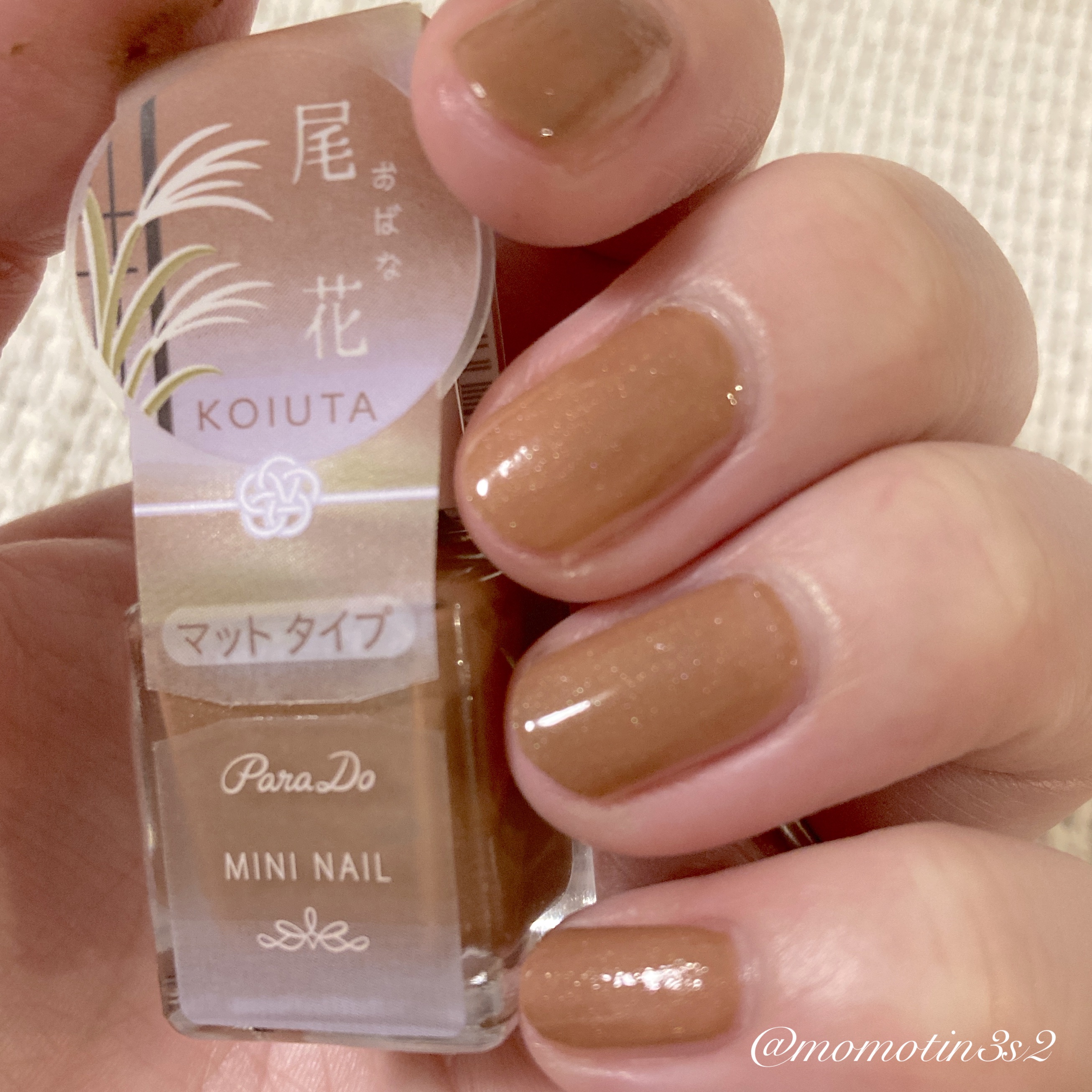 ネイルホリック Top coat/ネイルホリック/ネイルトップコートを使ったクチコミ（1枚目）