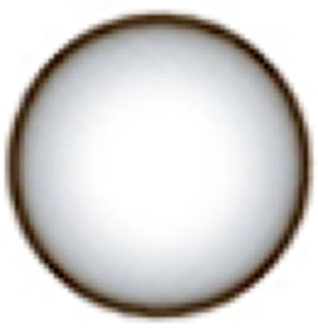 チャーミンググレイ