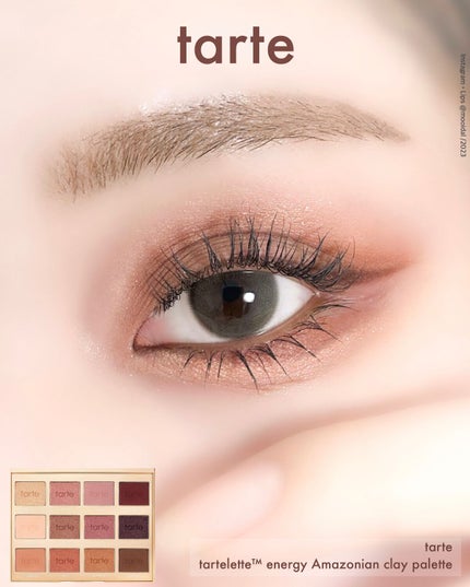 タルトレット E  アマゾニアンクレイ パレット/tarte/アイシャドウパレットを使ったクチコミ(1枚目)