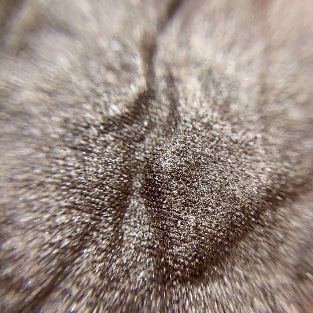 フォイルド シャドウ/M・A・C/単色アイシャドウを使ったクチコミ(2枚目)