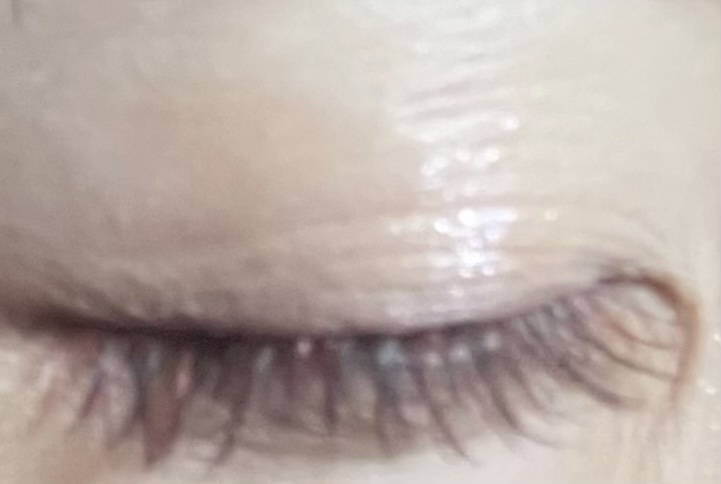 カラーラッシュ/D-UP/つけまつげを使ったクチコミ（3枚目）