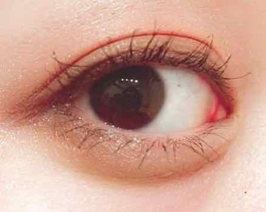 グラマラスヌード アイパレット (クリスマスコフレ 2017)/Visée/メイクアップキットを使ったクチコミ(1枚目)